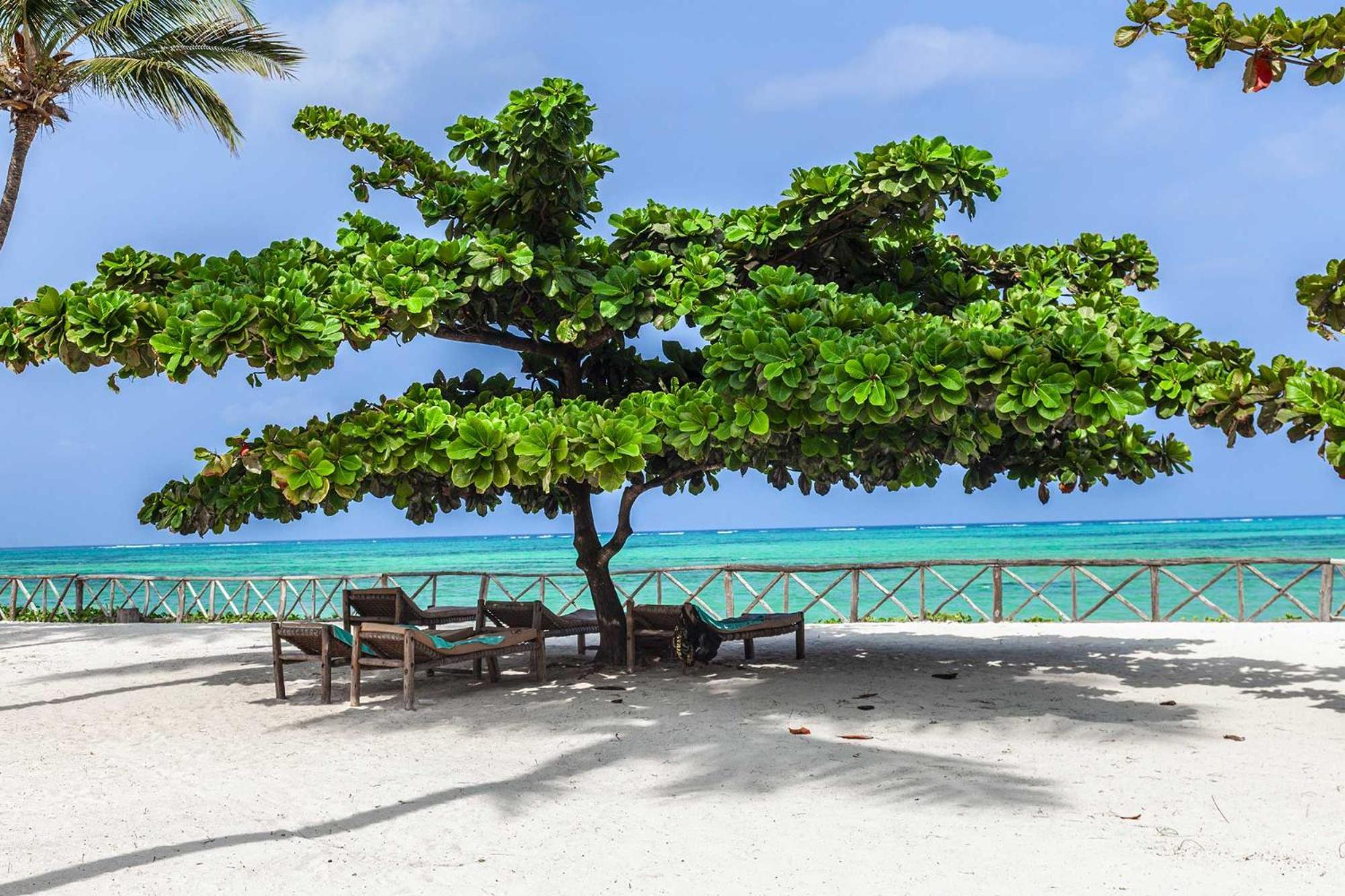 Vrclub Paje Palms Beach Resort Экстерьер фото